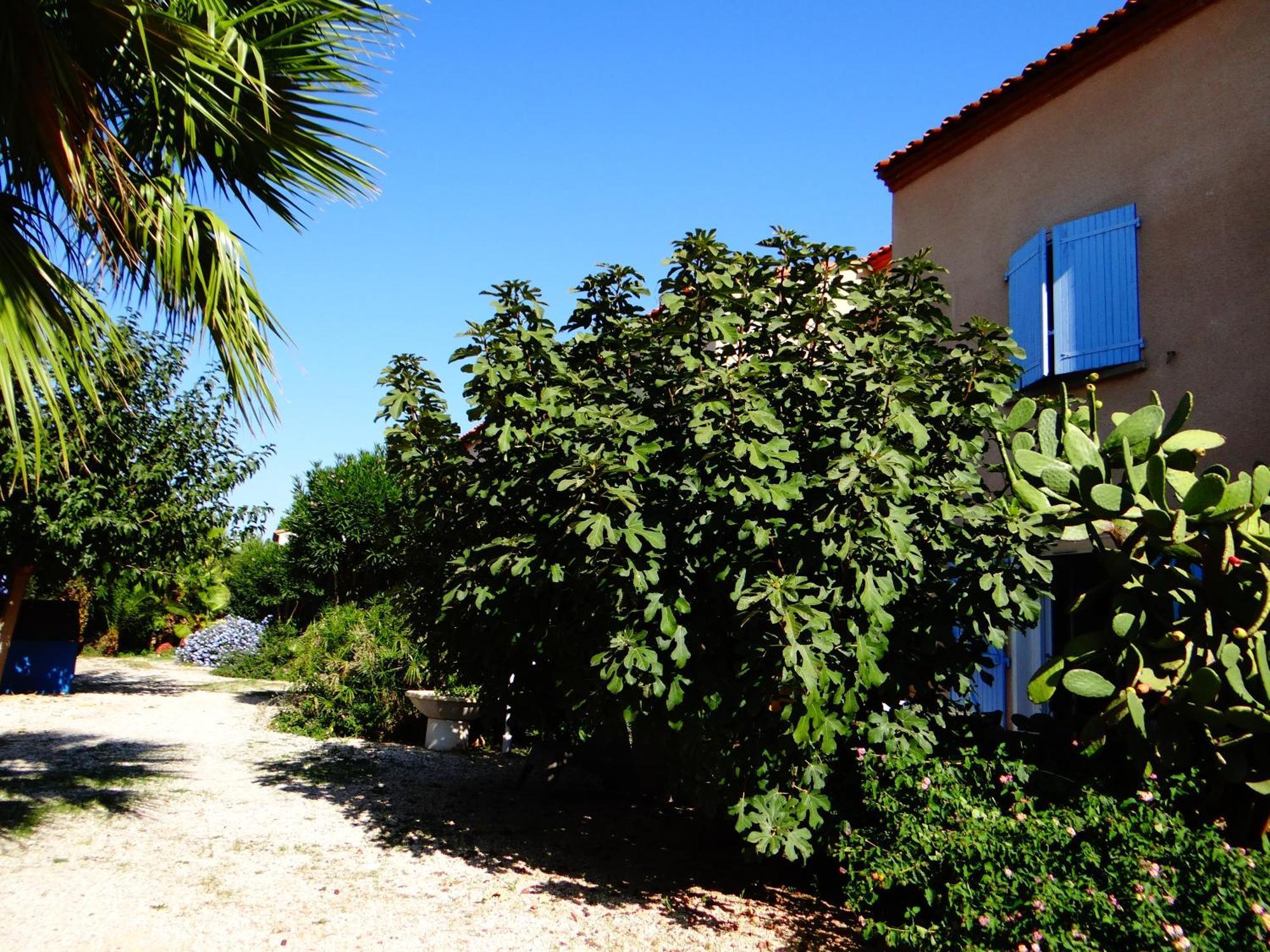 Residence L'Orangeraie-2-Claira 66530 Екстер'єр фото